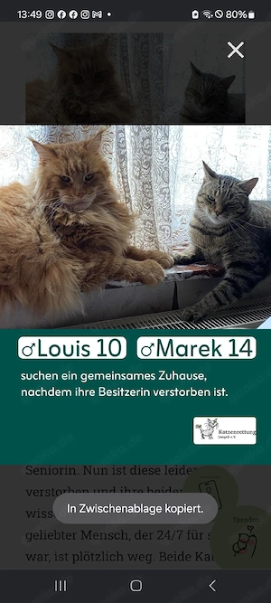 Louis und Marek 