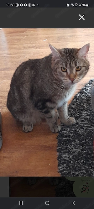 Merlin   verzaubert er auch dein Herz? 