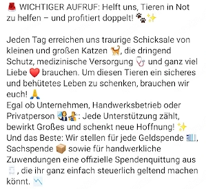 Hilfe für unsere Katzen  Bild 2