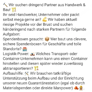 Hilfe für unsere Katzen  Bild 4