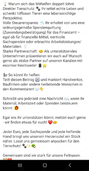 Hilfe für unsere Katzen  Bild 3