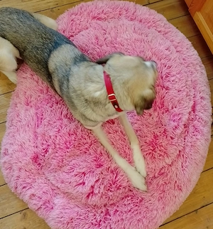 Hundekissen Rosa Wolke XL, 100 cm Bild 5