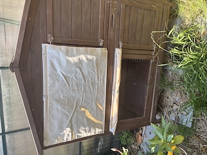 Hasenstall zweistöckig ,gepflegt ,wenig Gebrauchsspuren ,war nur nachts im Gebrauch 
