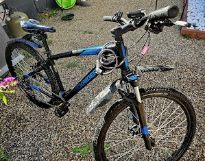 Jungen Fahrrad zu verkaufen (Rockrider ST 120 Mono) (geeignet für eine Körpergröße von 175 184 cm) Bild 3