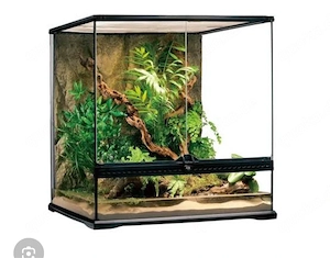 SUCHE 60x45x60 terrarium