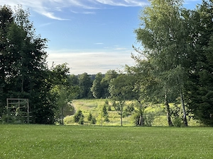 778 qm Traumgrundstück am Bismarckweiher | unverbaubar | provisionsfrei Bild 5
