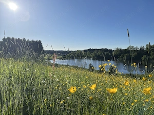 778 qm Traumgrundstück am Bismarckweiher | unverbaubar | provisionsfrei Bild 3