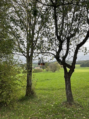 778 qm Traumgrundstück am Bismarckweiher | unverbaubar | provisionsfrei Bild 4