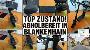 M51 Pro E-Scooter mit Sitz & Korb | Top Zustand | Abholbereit in Blankenhain