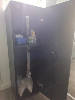 Aquarium 30 Liter mit Unterschrank,Filter, Lampe Heizstab,Fische und Garnelen Bild 5