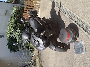 GT Union Striker 50ccm Roller 
