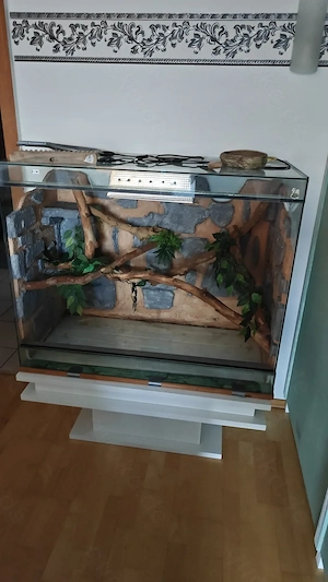 Terrarium inkl. Einrichtung 