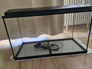 -Aquarium-