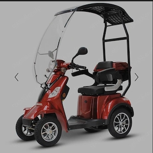 ECONELO 4-Rad Elektromobil