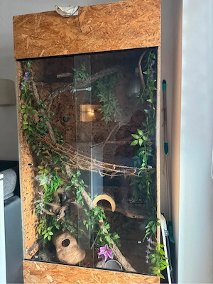 Großes Terrarium komplett ausgestattet mit bewohner