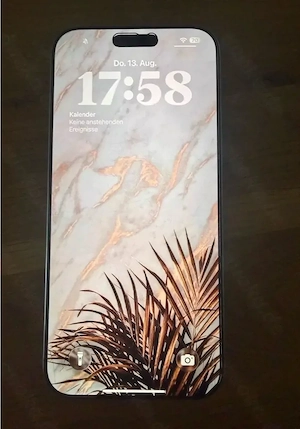 Apple iPhone 16 Pro Max mit 256 GB Speicher