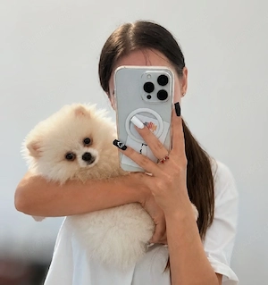 Pomeranian Zwergspitz Mädchen 