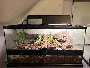 Exo Terra Terrarium 60x45x30