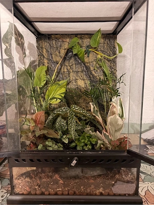 ExoTerra Terrarium 30x30x45