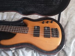 Bass Gitarre 