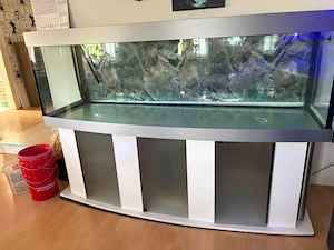 Großes 2m Aquarium mit Abdeckung