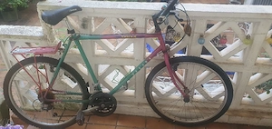 Mountainbike