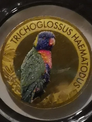 Goldmünze Papageien "Allfarblori" 1 1000 oz 999er Feingold mit Zertifikat