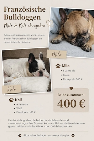 Hunde suchen dringend neues Zuhause 