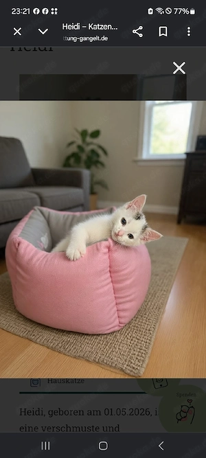 Kleine Heidi sucht 