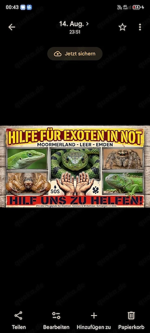 Reptilien in Not