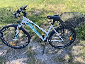 Bulls Wildstreet MTB 26 Zoll