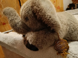 Elefant von Hermann günstig zu verkaufen 