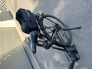 E Bike Pegasus mit Bosch Motor