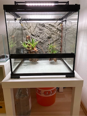 Exo Terra Pro Terrarium 45x45x45cm inkl. Beregnung