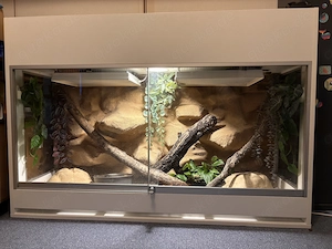 Terrarium voll eingerichtet 