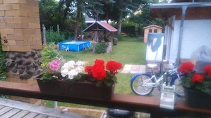 Möbliertes Zimmer mit Terrasse zu vermieten