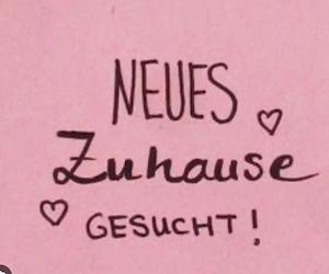 Wohnung gesucht 