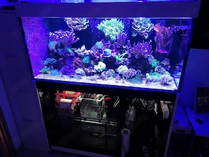 Verkaufe RedSea Reefer 425 G2 Weiß Komplett