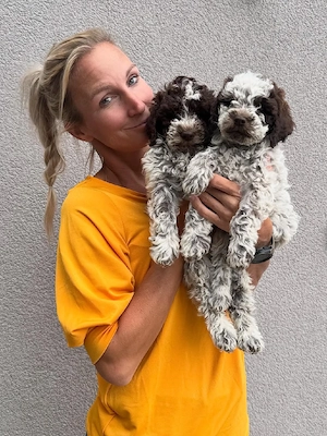 Unsere bezaubernden Lagotto-Romagnolo-Welpen suchen ab nächster Woche ein liebevolles Zuhause! 