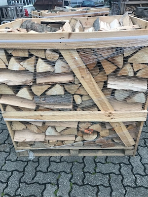 Brennholz Buche trocken