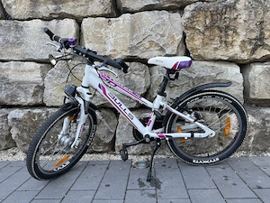 Kinderfahrrad mit 3 Gang Schaltung und Rücktrittsbremse
