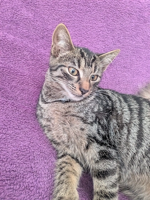 Kater 11.04 . Geboren