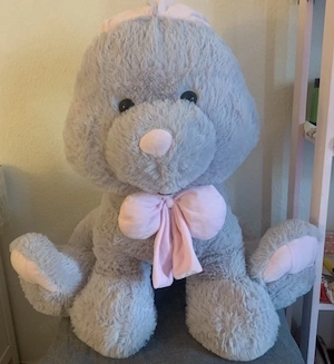 Teddy bär, hase 