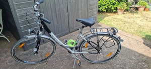 Gepfl. Damen-Fahrrad