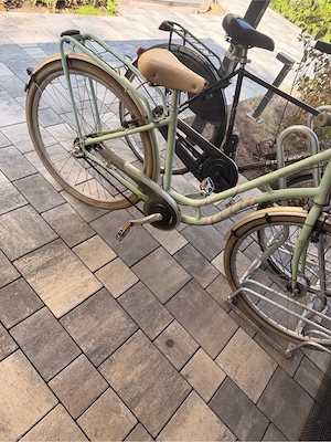 Damen Fahrrad Citybike in Türkis