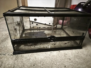 Exo Terra Terrarium 60   45   30 cm