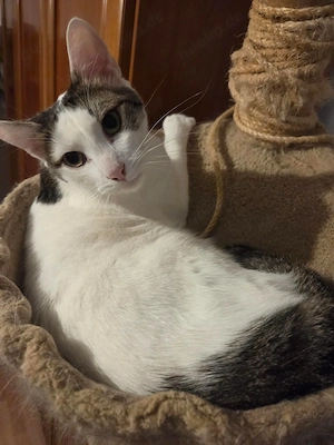 Winie sucht einen Ort zum Bleiben