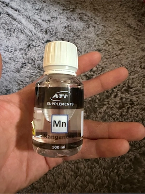 Ati mangan 