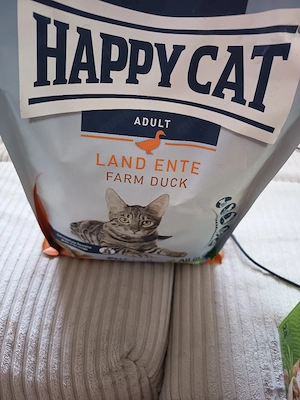 Katzenfutter 