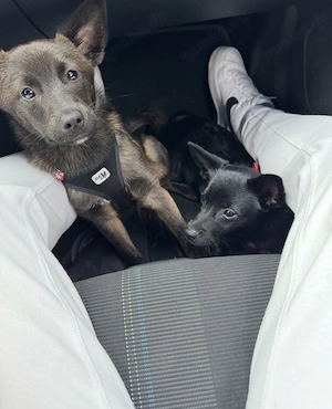 Rico & Lio